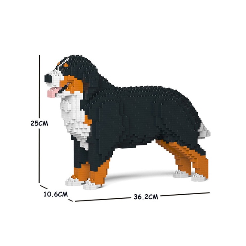 Jekca – Bernese Mountain Dog – Small (02S)