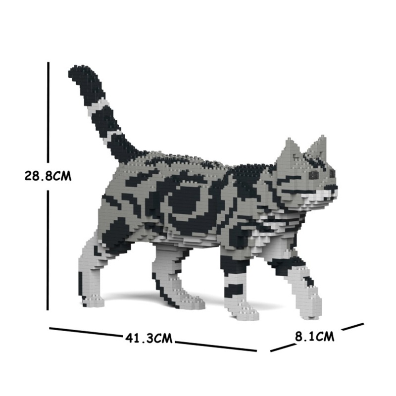 Jekca – American Shorthair Cat – Small (02S-M01)