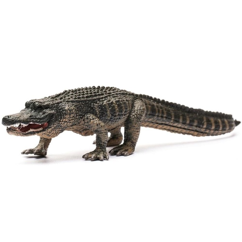 Collecta American Alligator – L