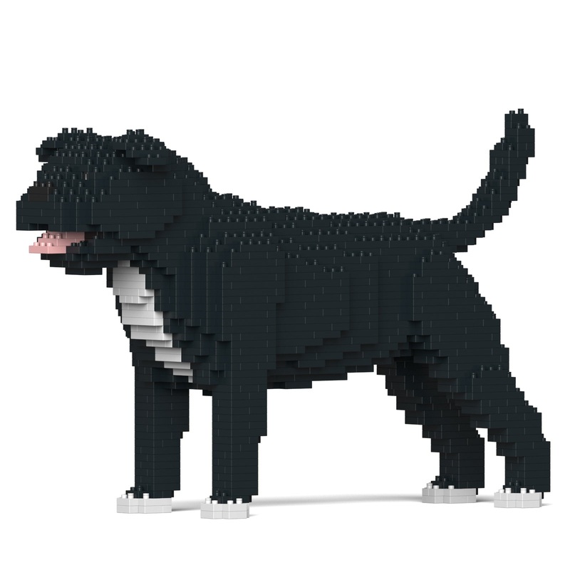 Jekca – Staffordshire Bull Terrier – Small (01S-M02)