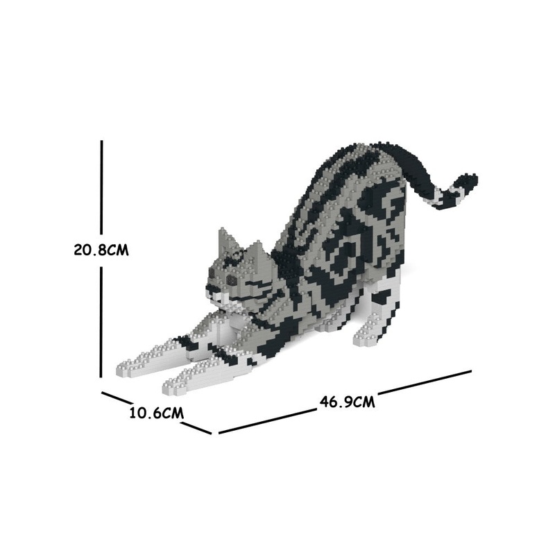 Jekca – American Shorthair Cat – Small (04S-M01)