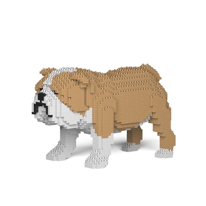 Jekca – English Bulldog – Small (01S-M03)