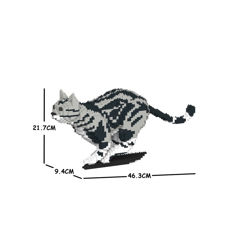 Jekca – American Shorthair Cat – Small (06S-M01)
