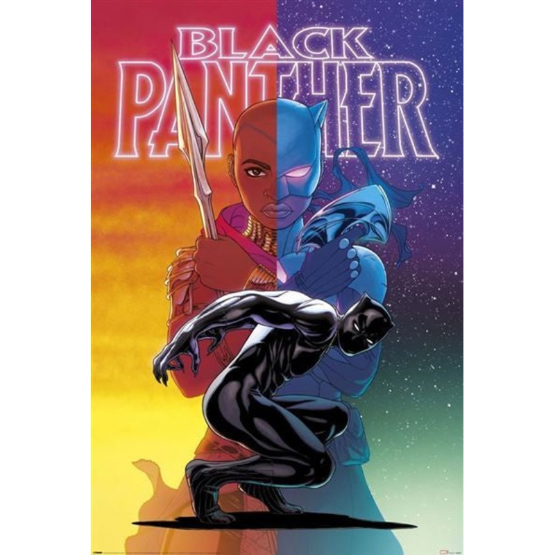 Black Panther – Wakanda Forever – Colour Split Poster